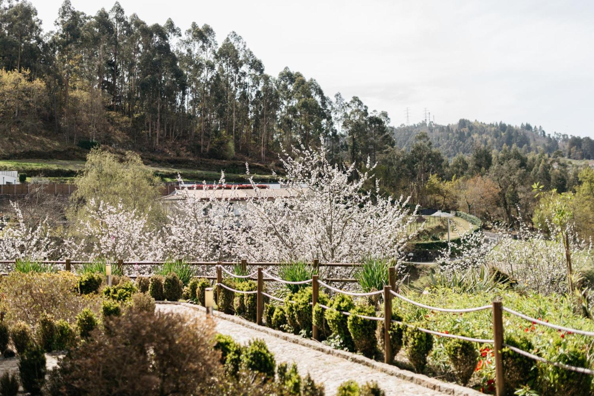 Hotel Quinta Do Bento Vieira do Minho Zewnętrze zdjęcie